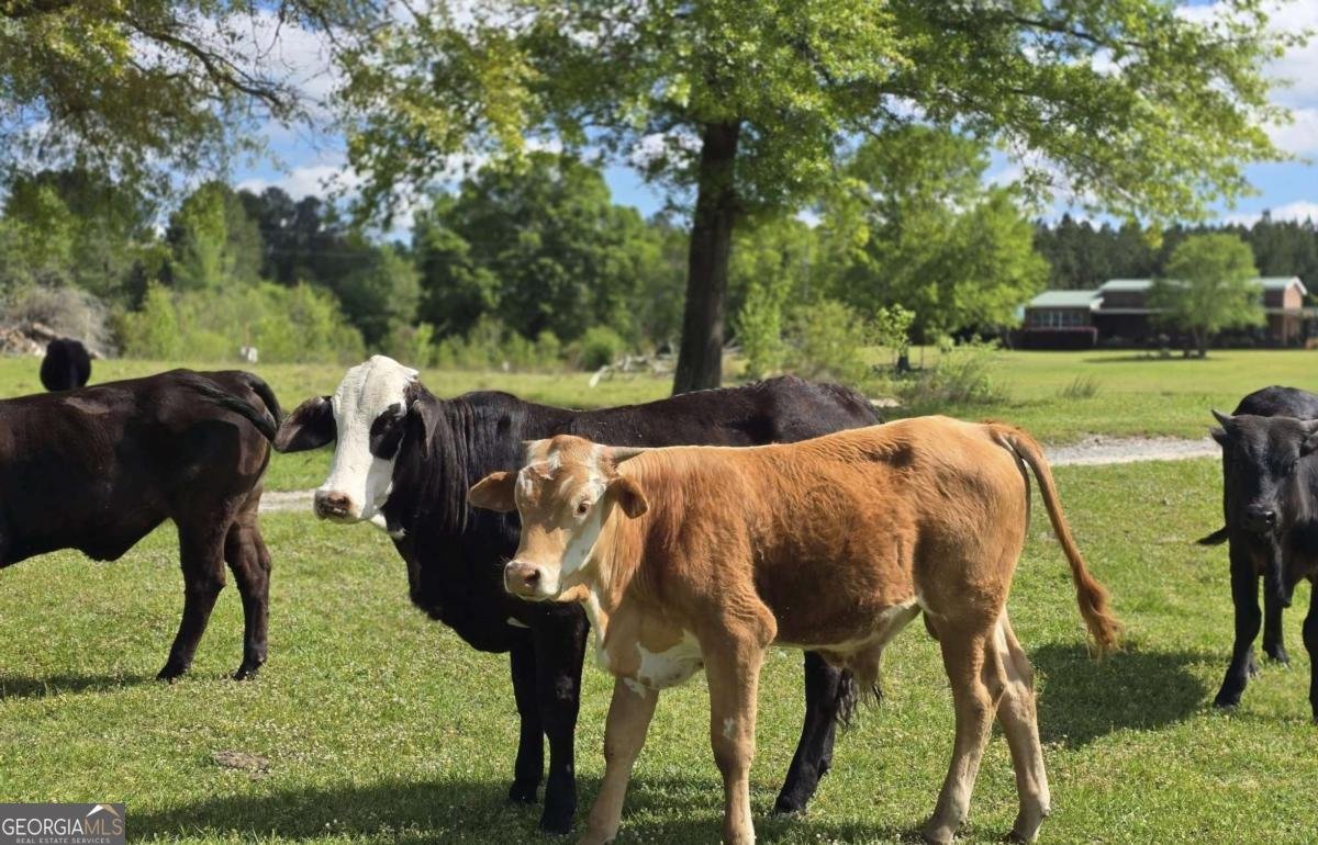 947 Bellhouse Road Macon - 3