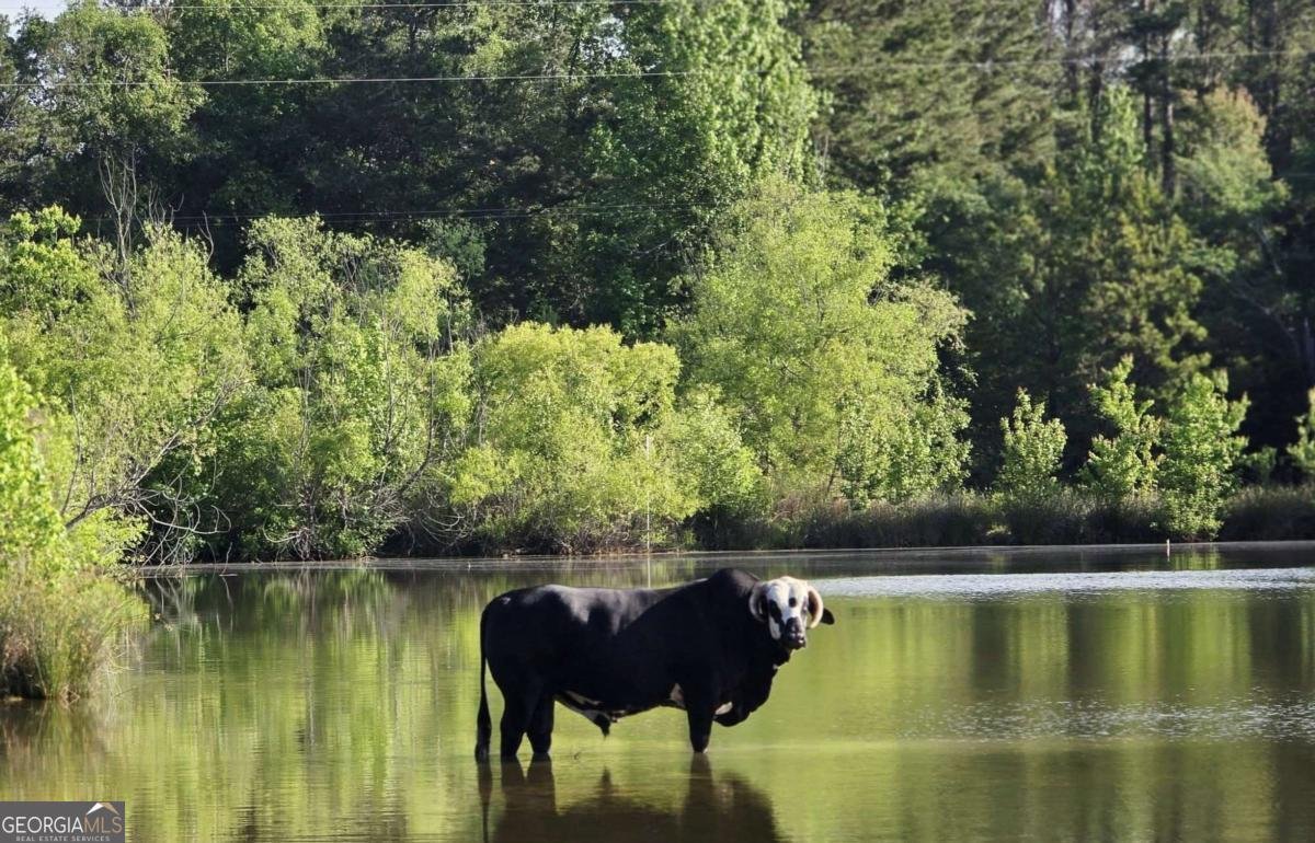 947 Bellhouse Road Macon - 60