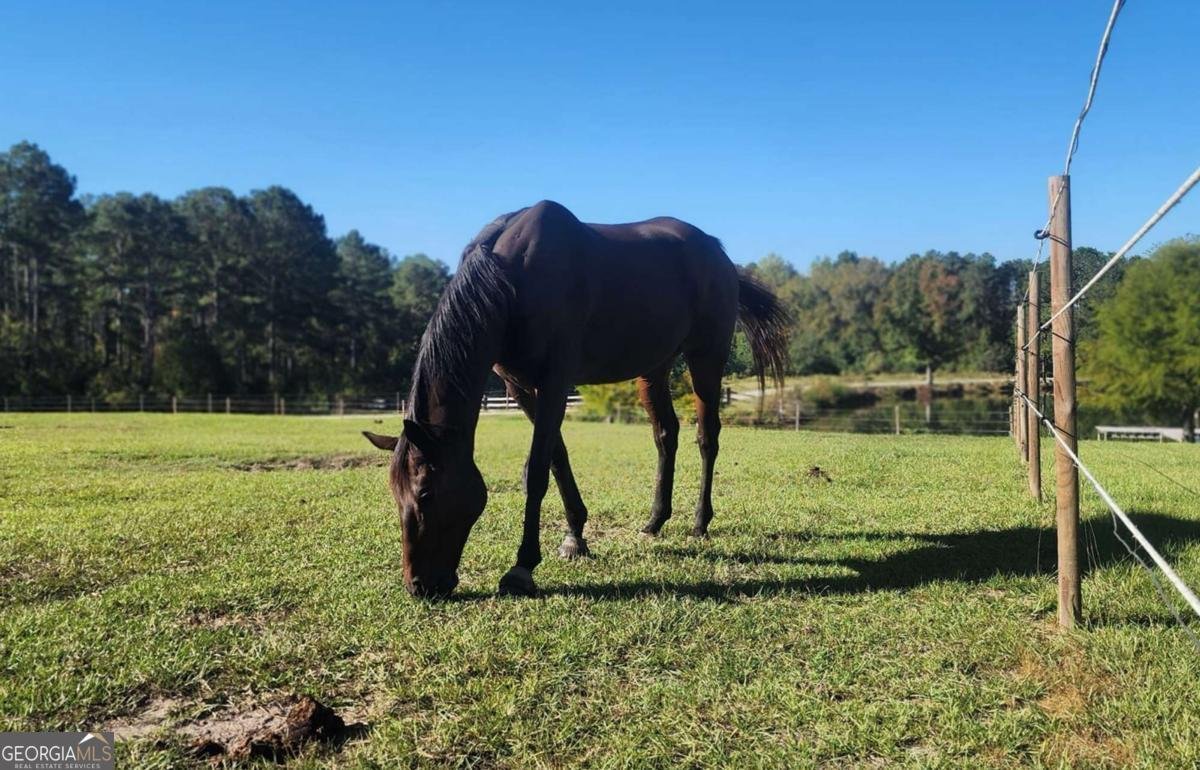 947 Bellhouse Road Macon - 82