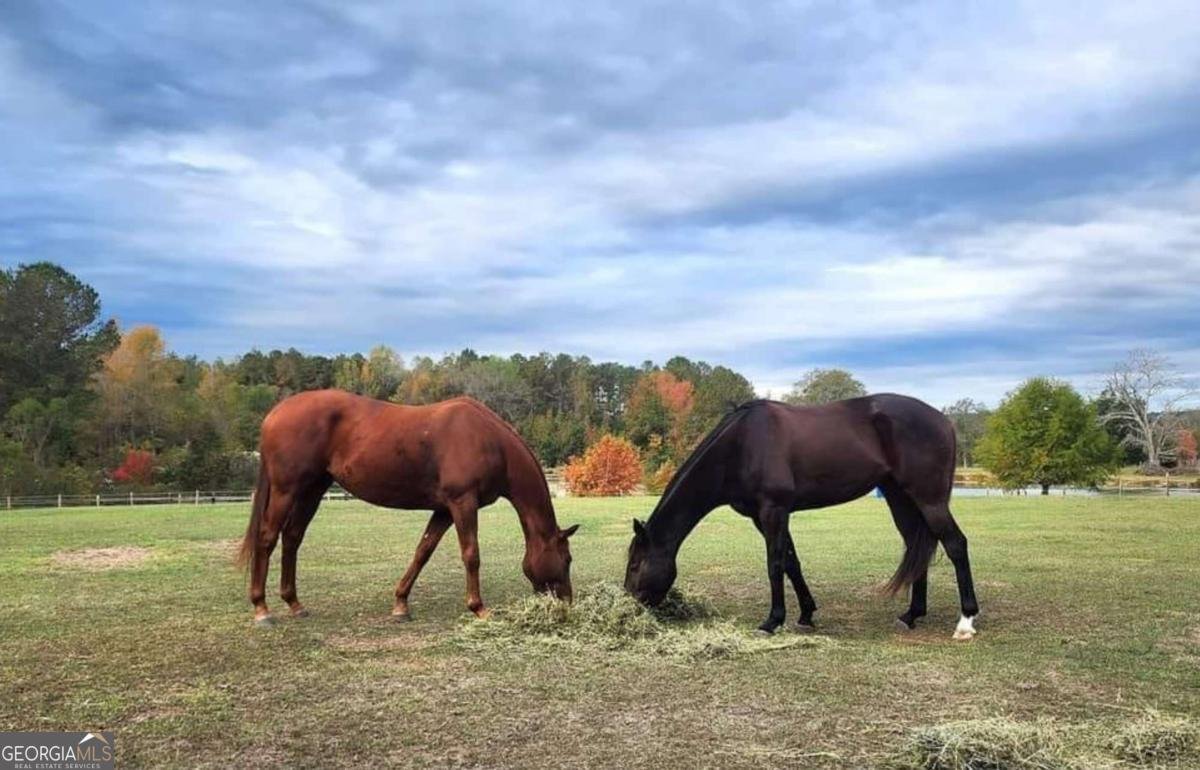 947 Bellhouse Road Macon - 83