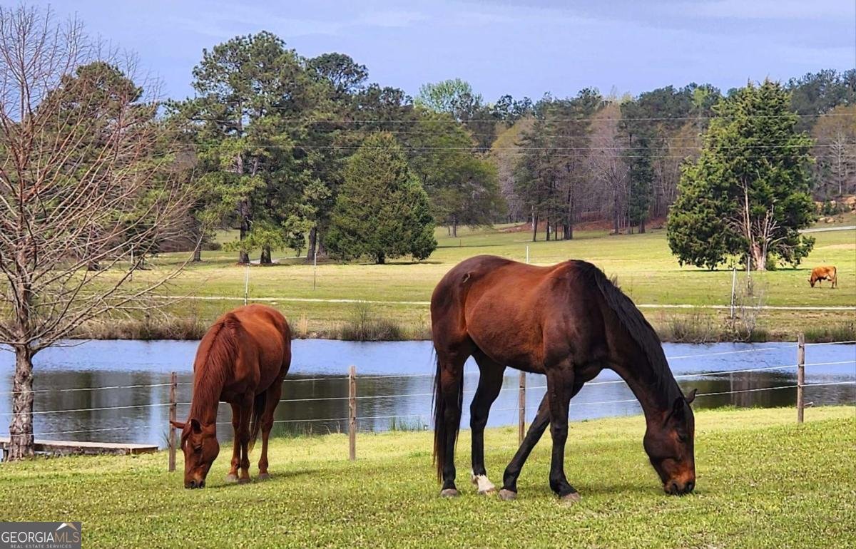 947 Bellhouse Road Macon - 84