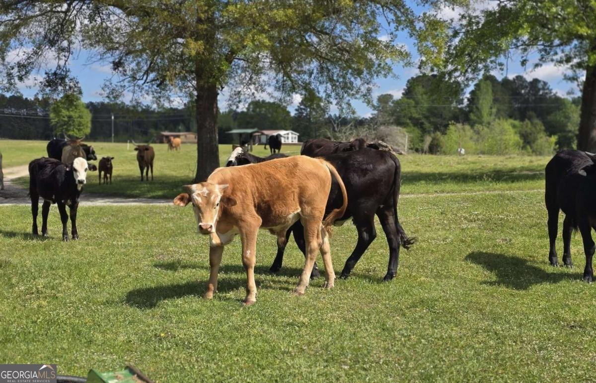 947 Bellhouse Road Macon - 88