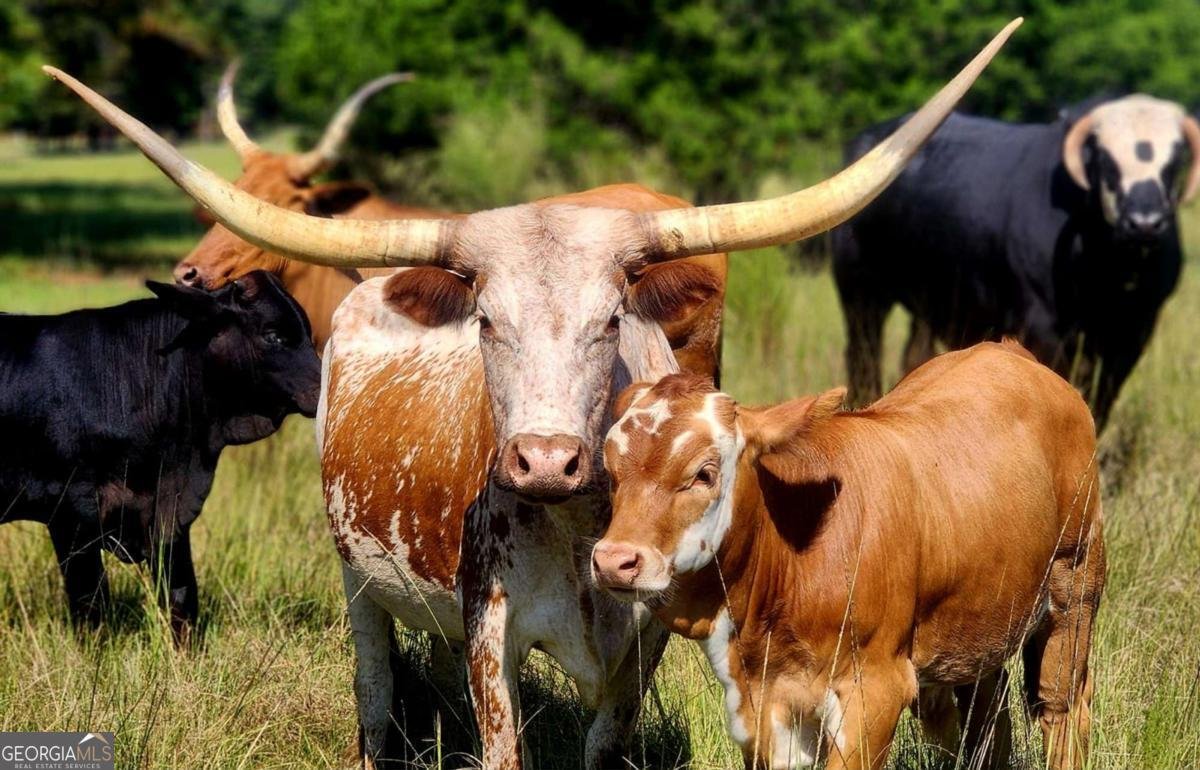 947 Bellhouse Road Macon - 89