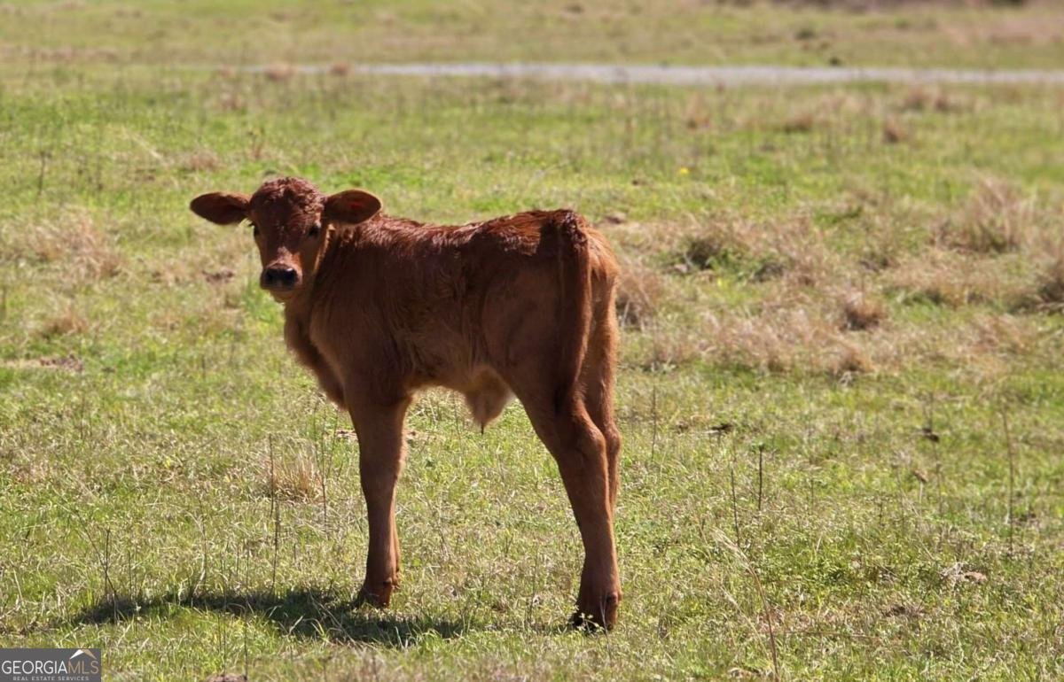 947 Bellhouse Road Macon - 90