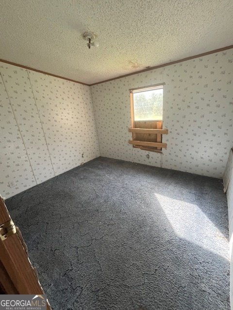 3562 Dickey Road Millen - 12