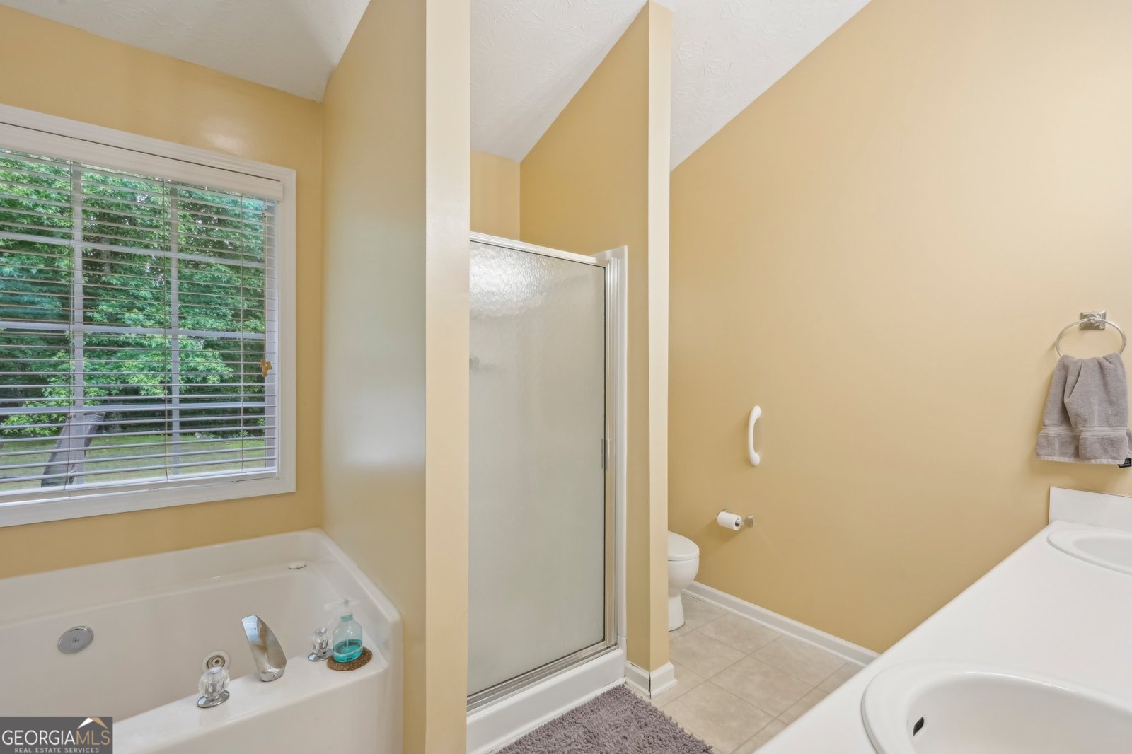 198 Lake Cove Approach Newnan - 21
