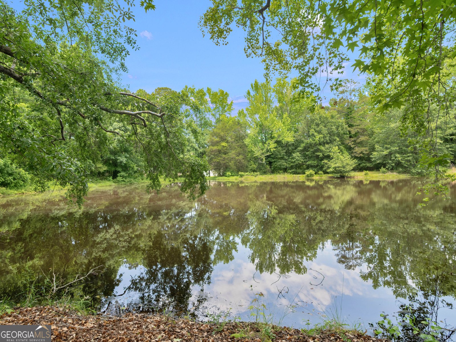 114 Overlook Drive McDonough - 45