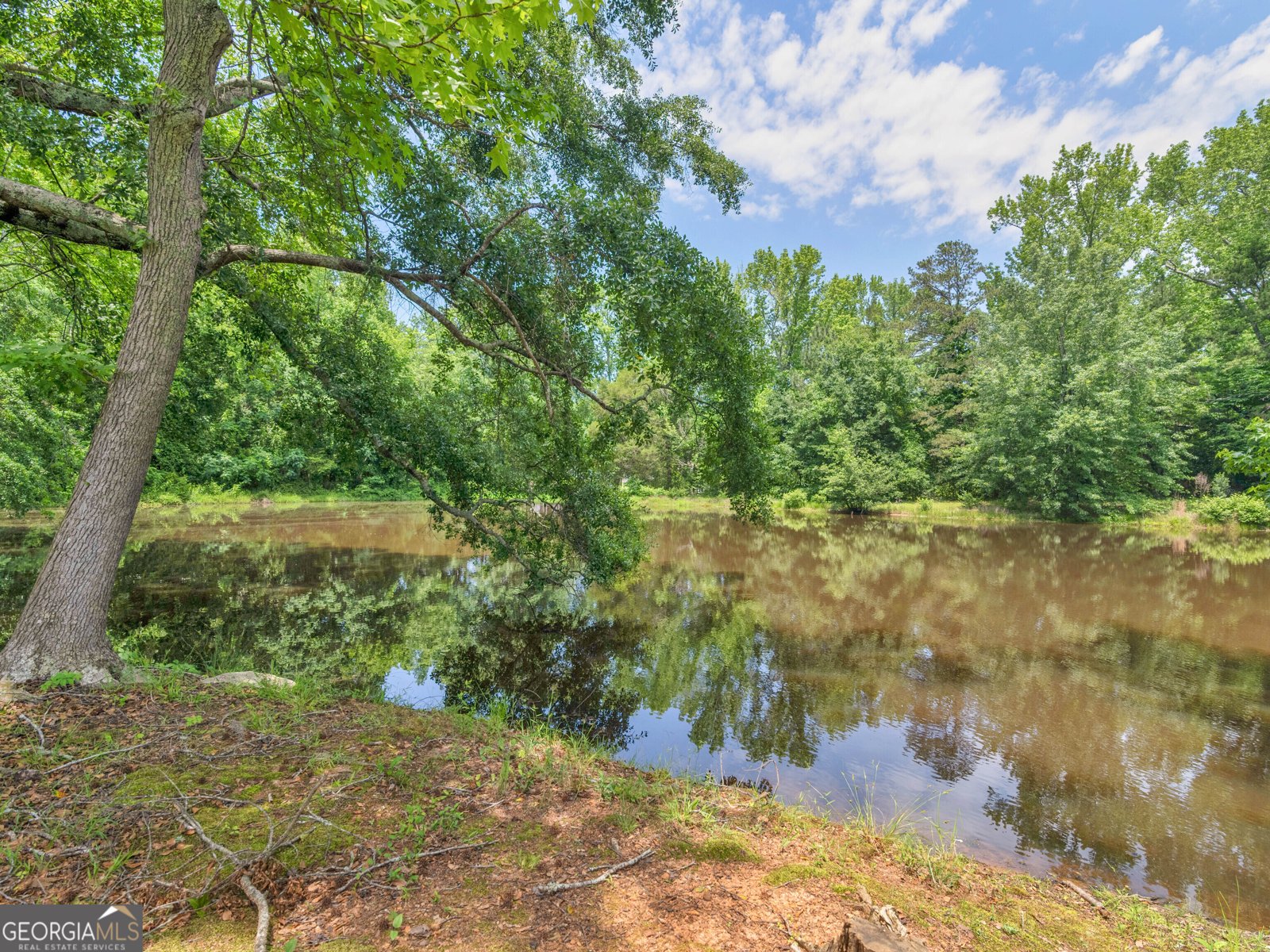 114 Overlook Drive McDonough - 46