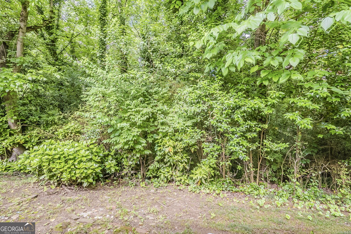 733 San Fernando Drive Smyrna - 24