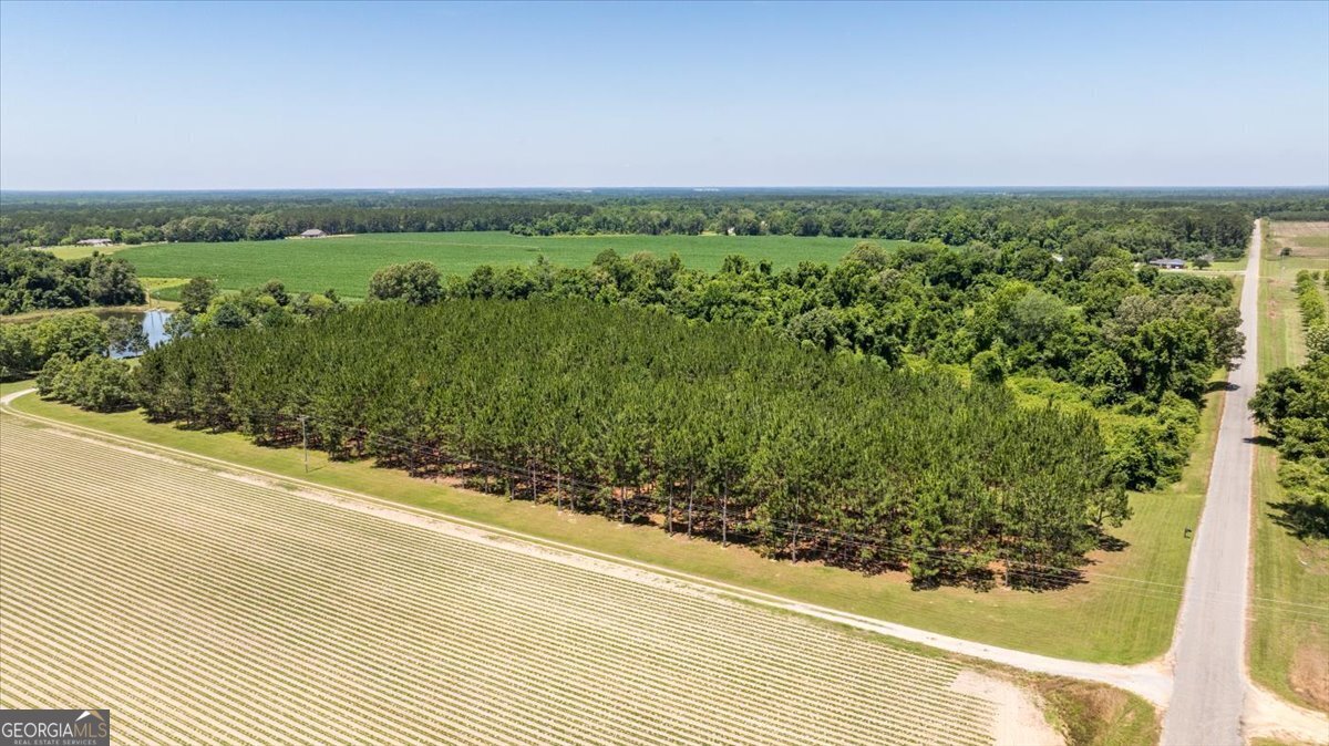 737 Raleigh Cobb Road Hawkinsville - 55
