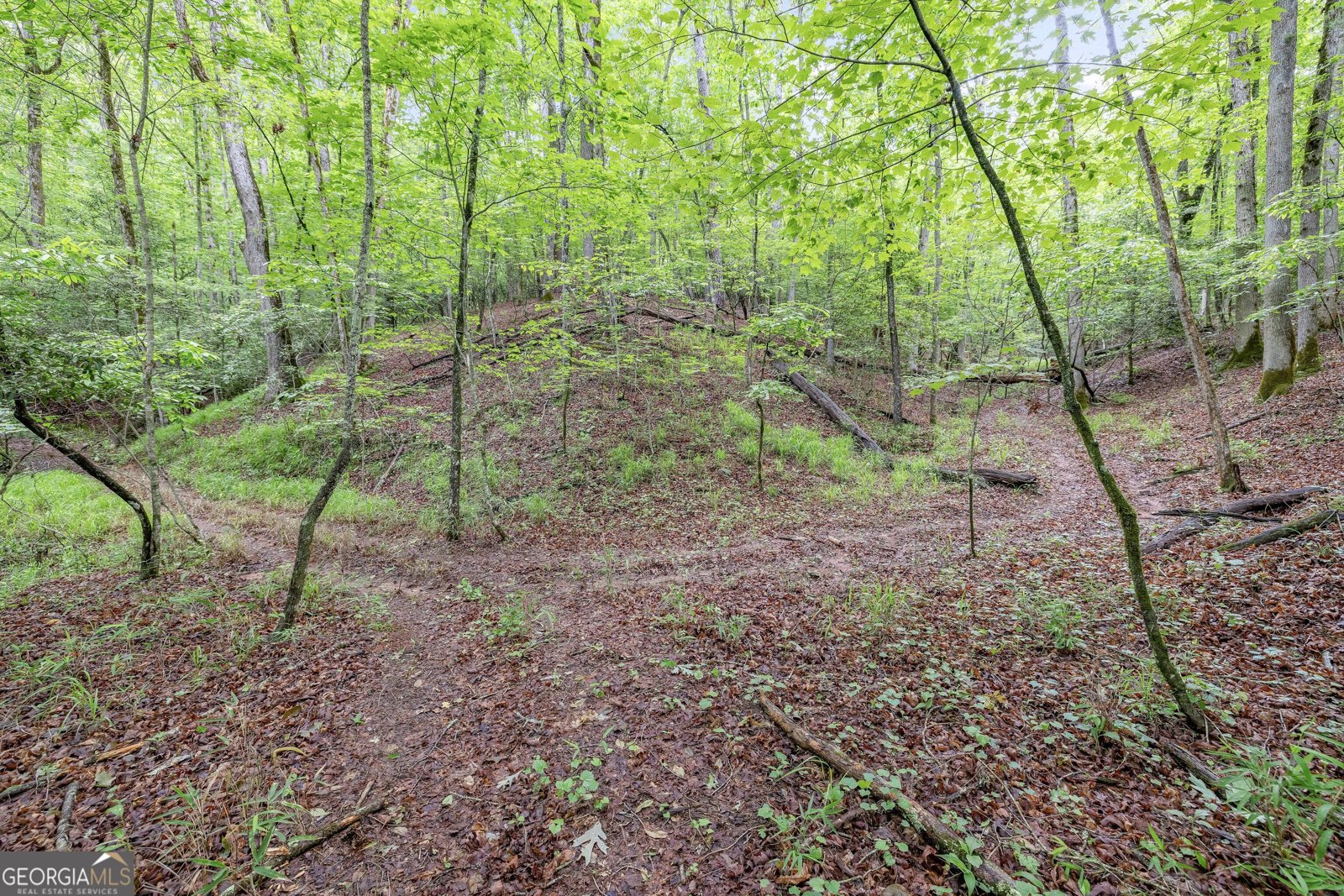 405 Dugas Road Dahlonega - 40