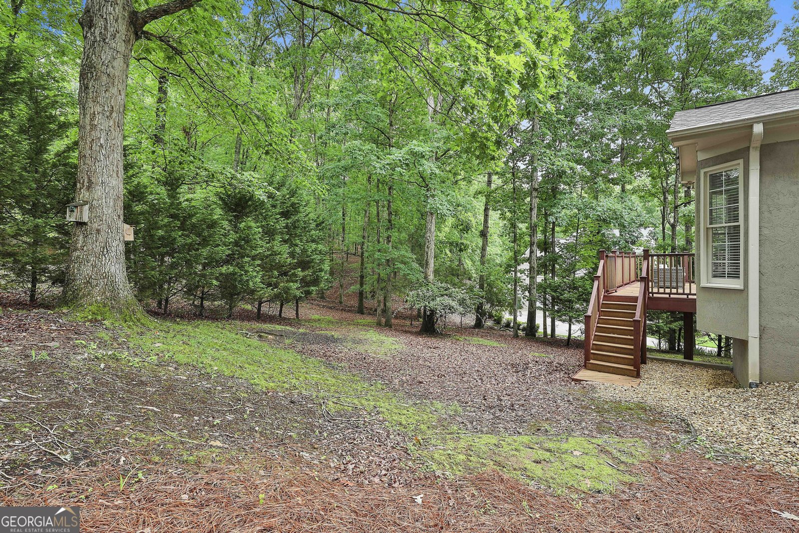 164 Interlochen Drive Peachtree City - 51
