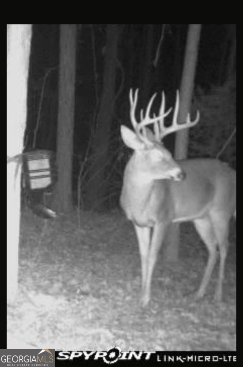 467 Kirkland Drive Byron - 45