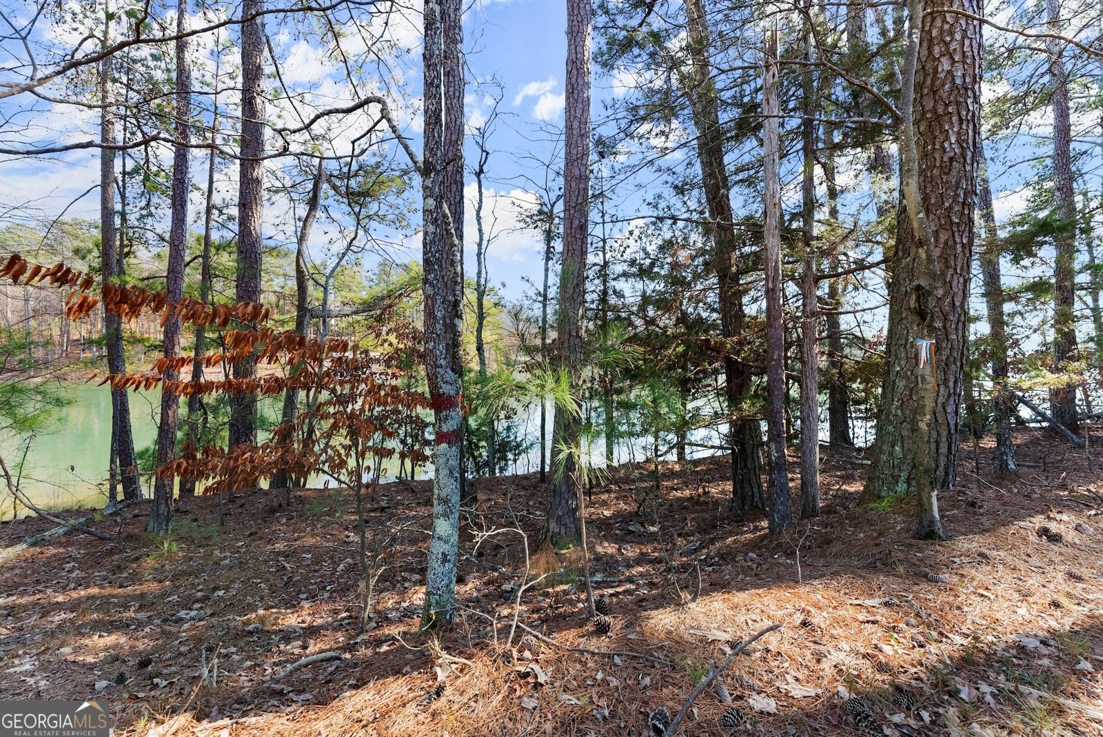 5417 Mayflower Court Gainesville - 44