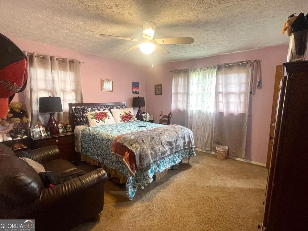 3750 Dial Mill Road Conyers - 14