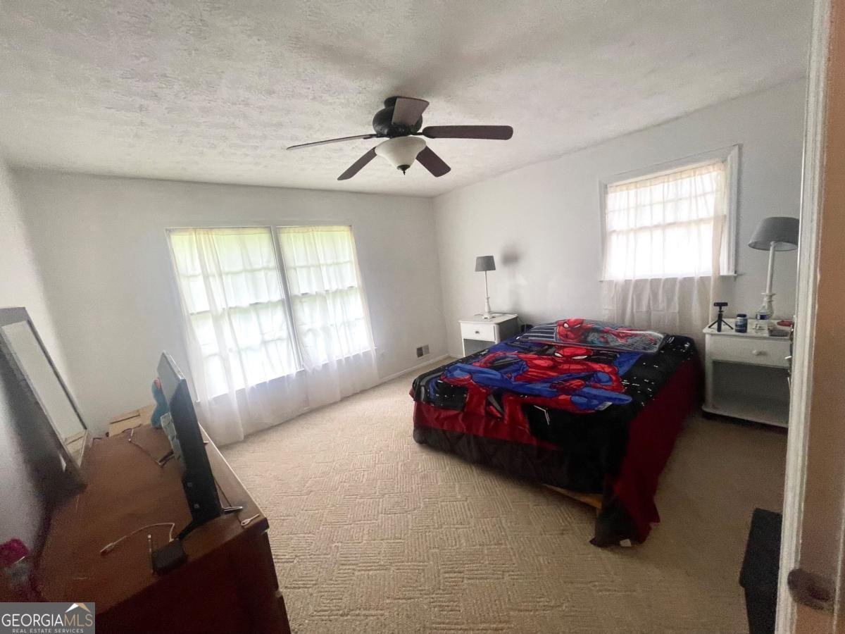 3750 Dial Mill Road Conyers - 17