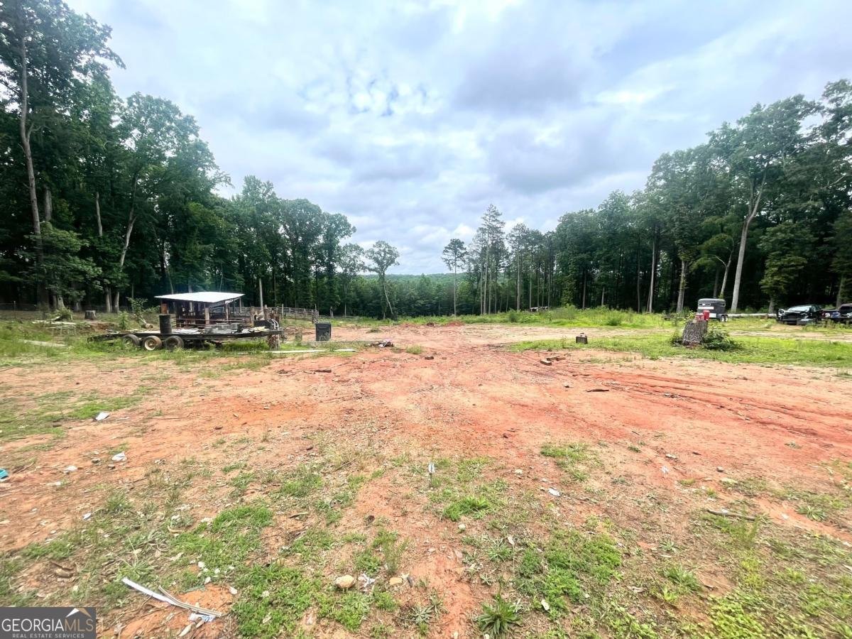 3750 Dial Mill Road Conyers - 5