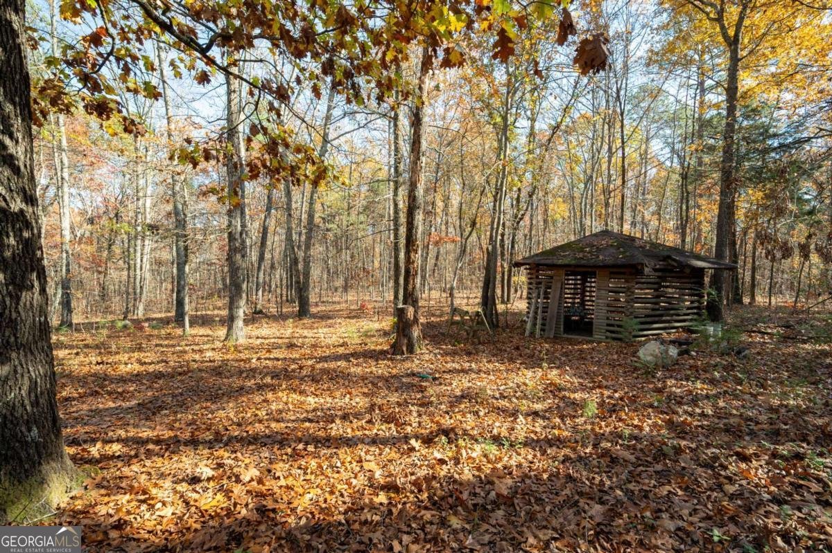 536 Wimberly Hill Road Cedartown - 27