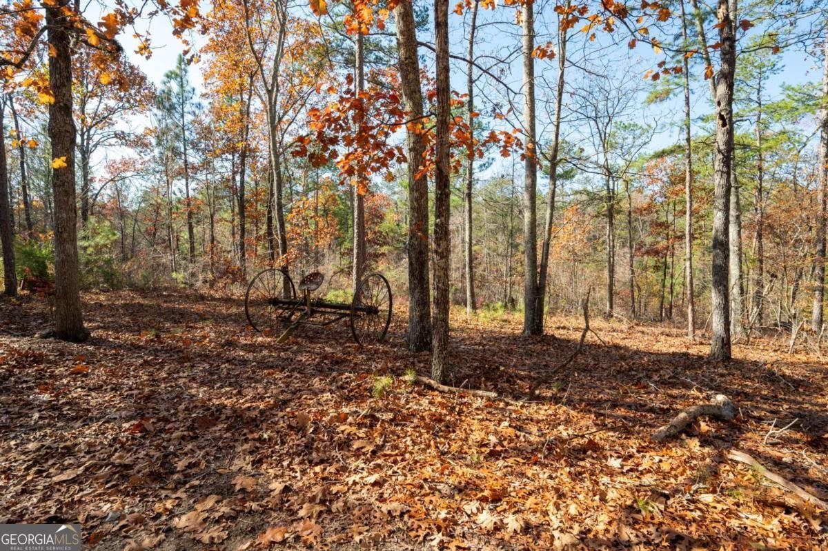 536 Wimberly Hill Road Cedartown - 36