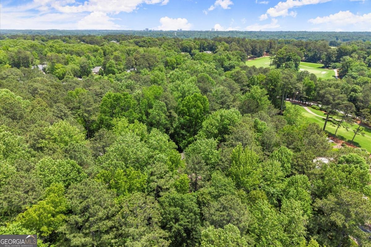 4161 Thunderbird Drive Marietta - 83