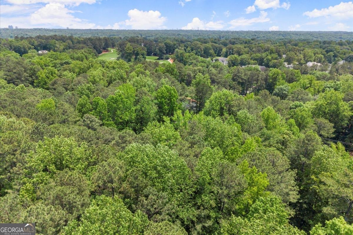 4161 Thunderbird Drive Marietta - 84