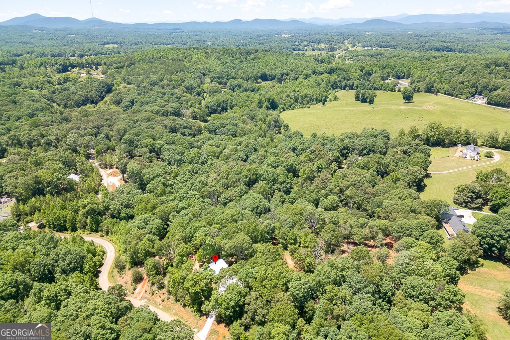 139 Maple Ridge Drive Cleveland - 33
