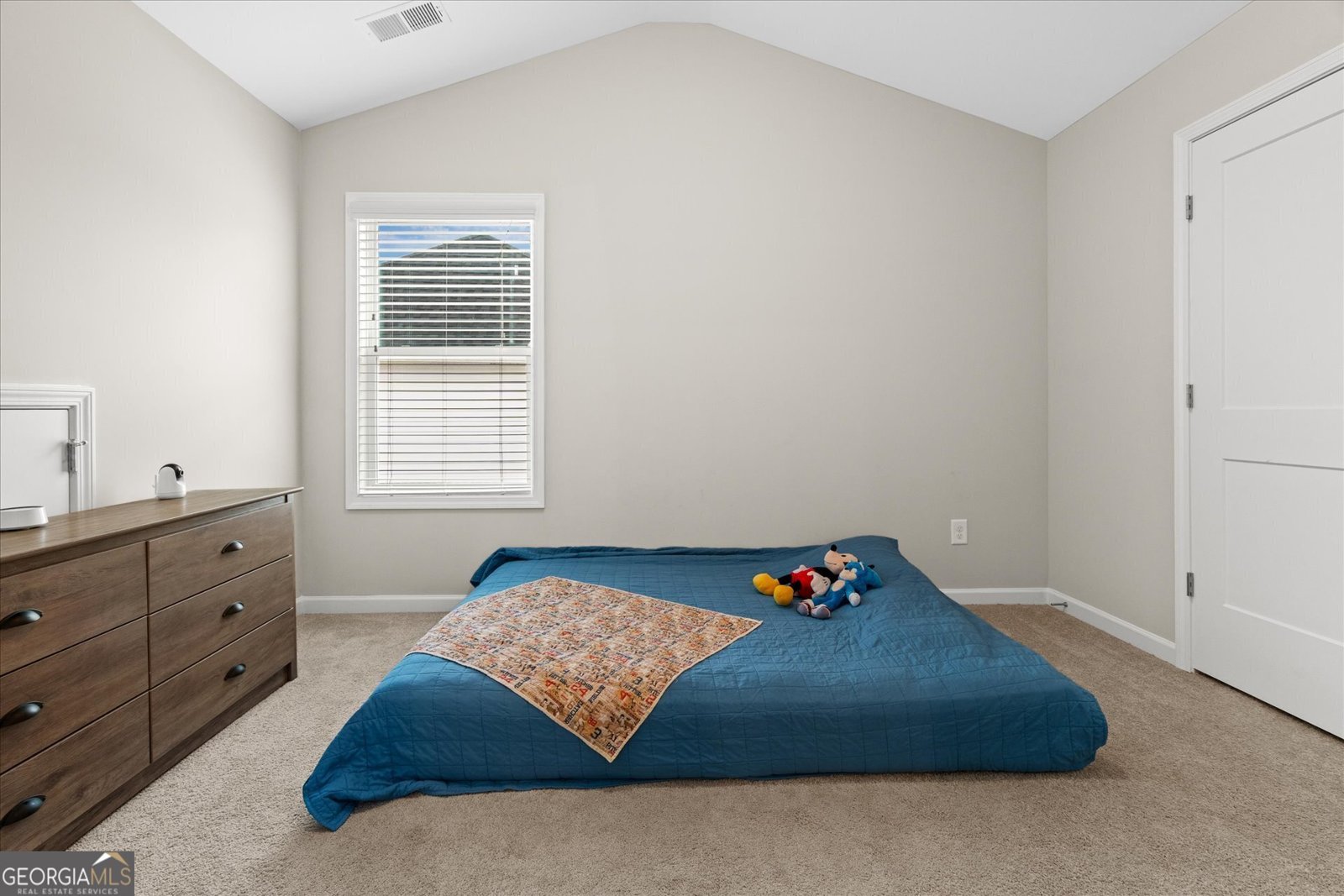 119 Cedar Park Way Carrollton - 33