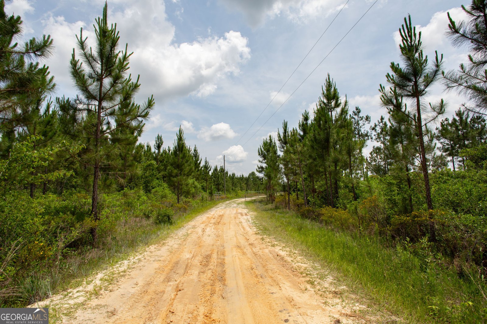 375 Brier Patch Lane Waycross - 35