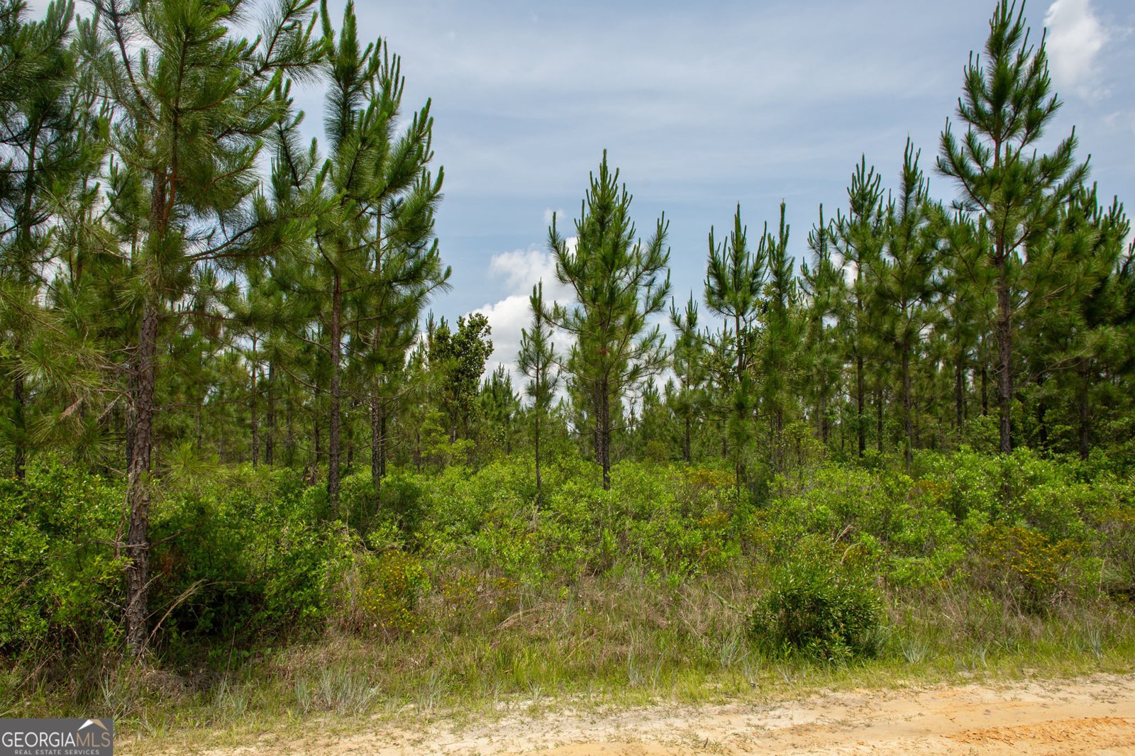 375 Brier Patch Lane Waycross - 36