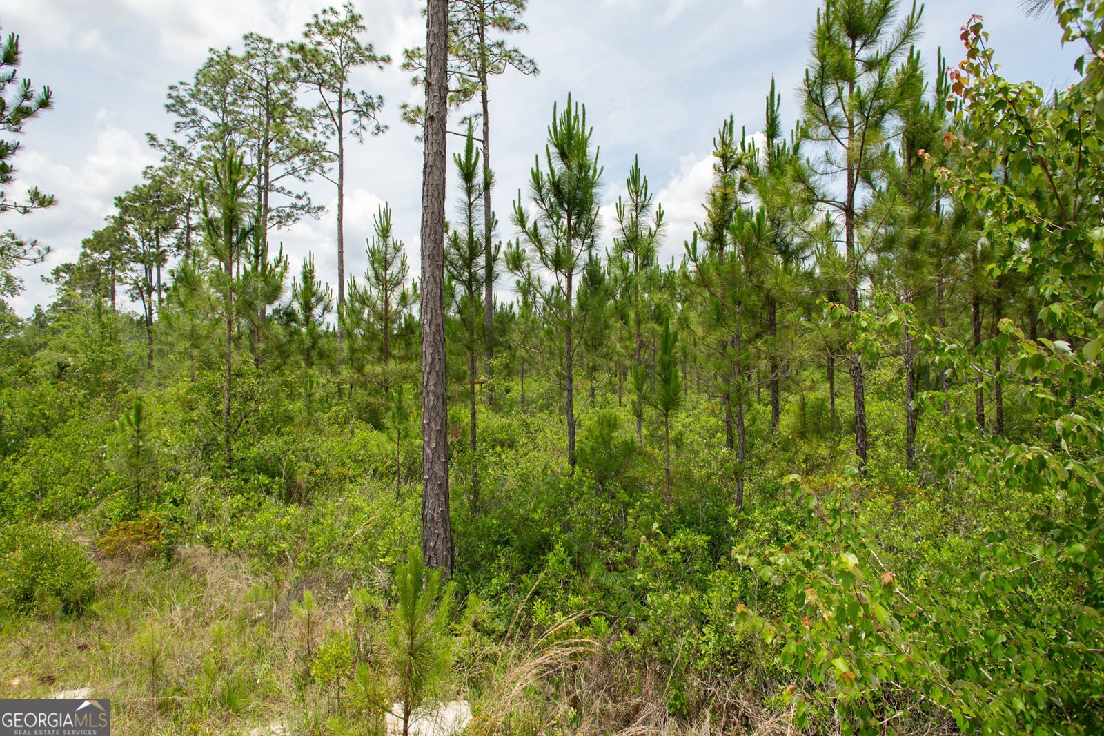 375 Brier Patch Lane Waycross - 37