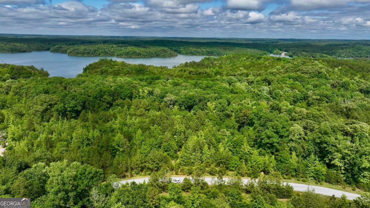 0 MILLSTONE CREEK Road Elberton - 17