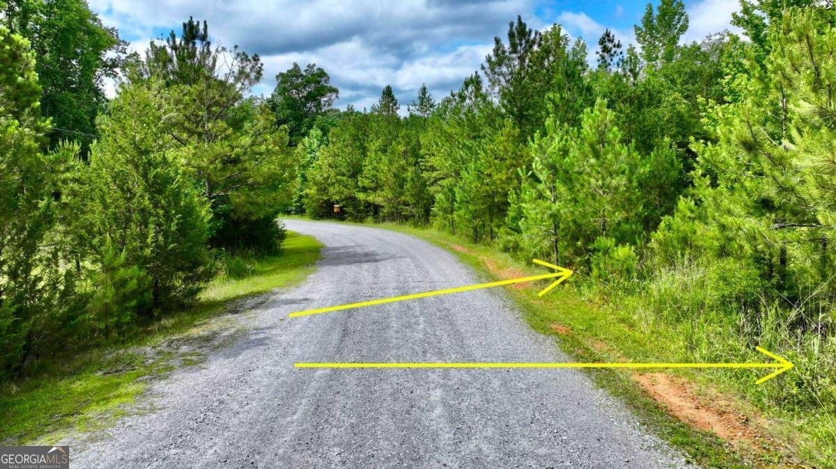 0 MILLSTONE CREEK Road Elberton - 22