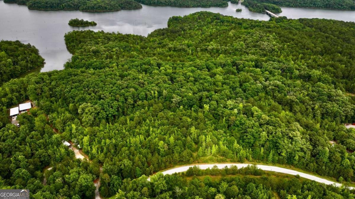 0 MILLSTONE CREEK Road Elberton - 24