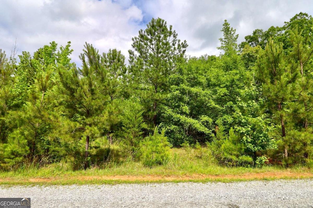 0 MILLSTONE CREEK Road Elberton - 26