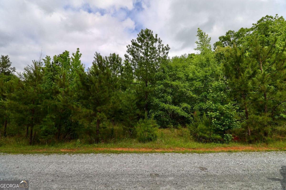 0 MILLSTONE CREEK Road Elberton - 27