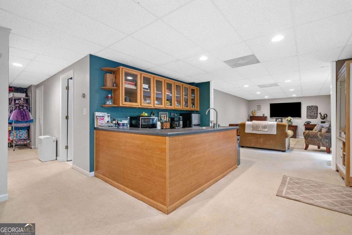 117 Willow View Lane Canton - 46