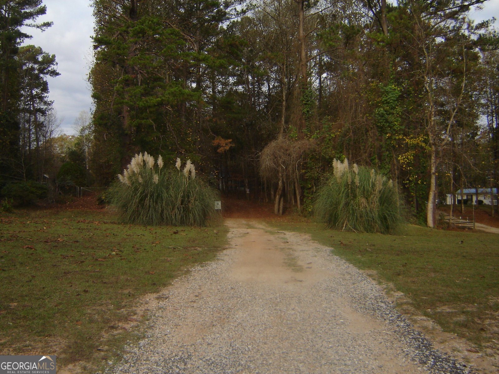 6177 County Road 266 Five Points - 41