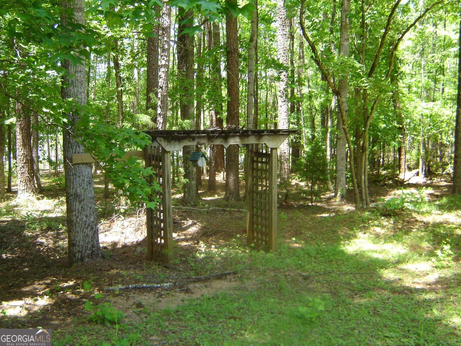 6177 County Road 266 Five Points - 51