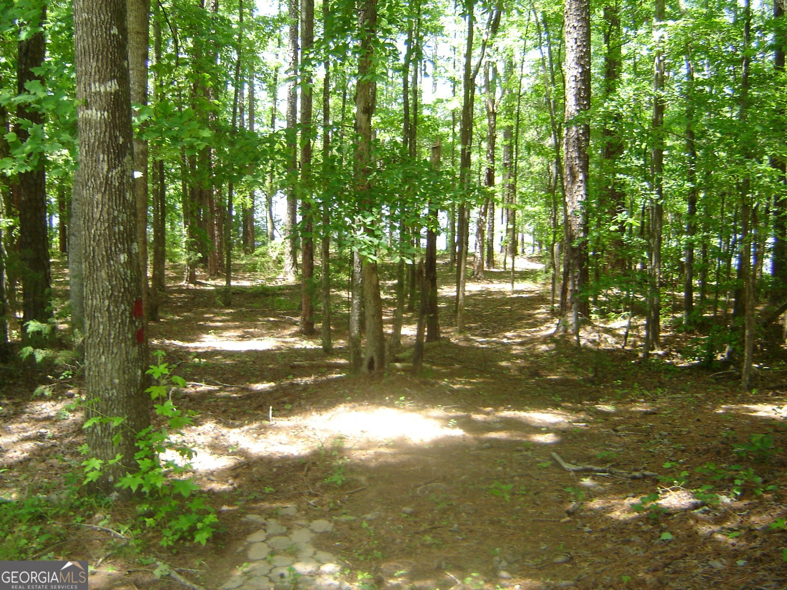 6177 County Road 266 Five Points - 54