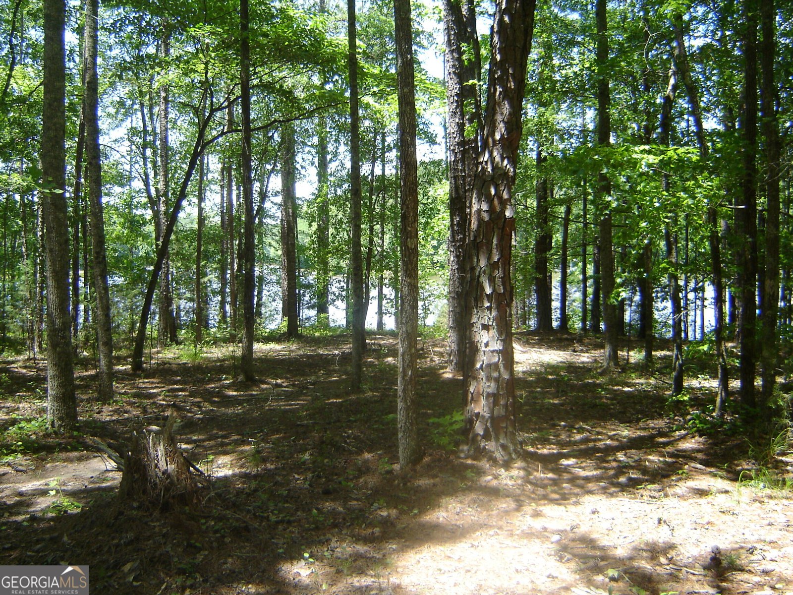 6177 County Road 266 Five Points - 55