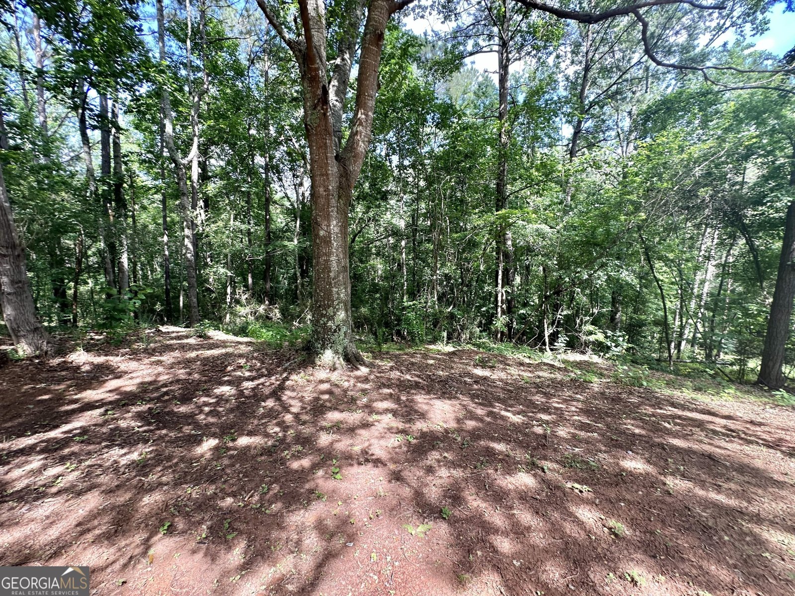 2165 River Road Franklin - 32