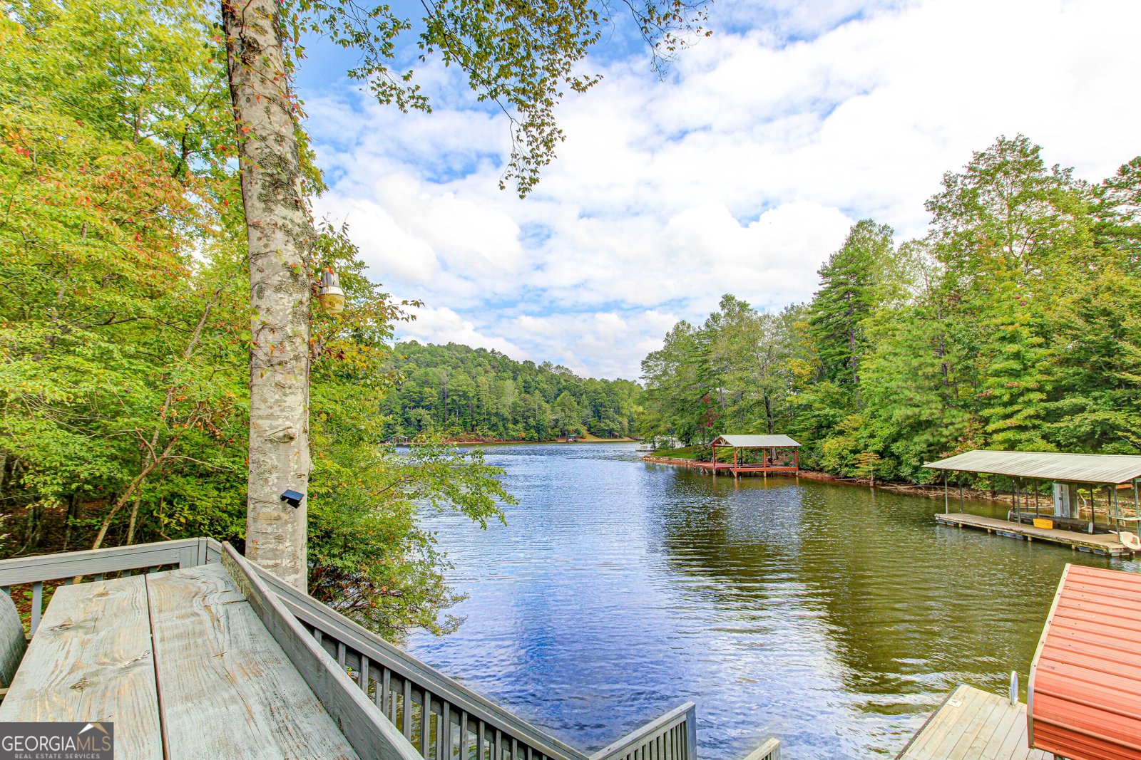 86 Waters Drive Wedowee - 2