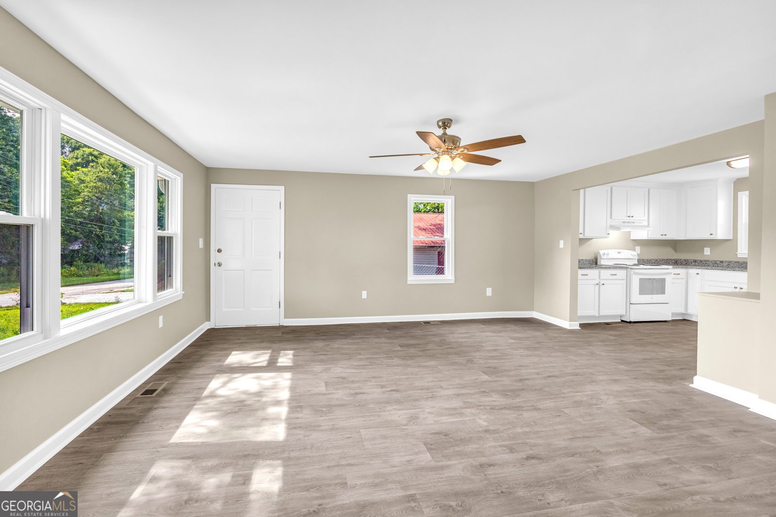 266 Randall Street Lavonia - 57