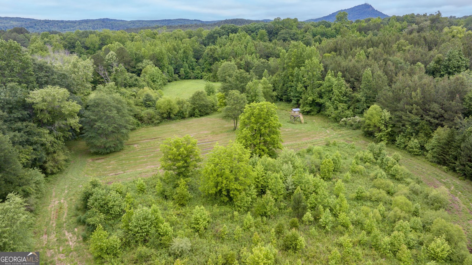 3125 New Hope Road Toccoa - 77