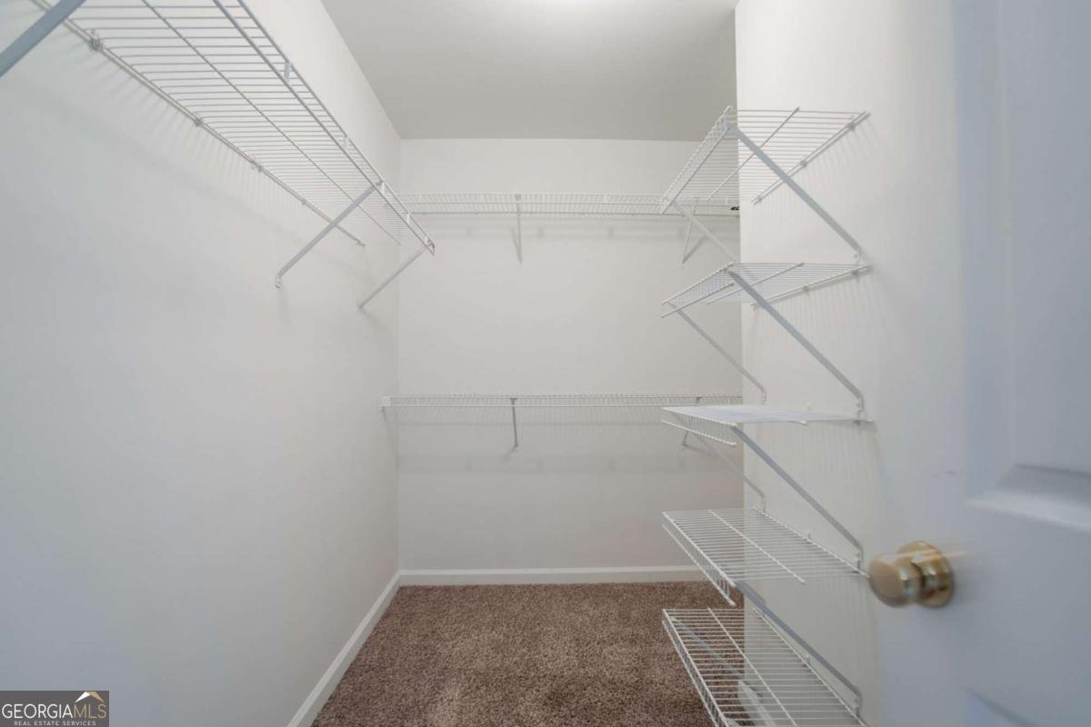 806 Chelsea Wood Court Stockbridge - 22
