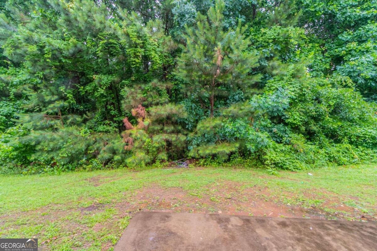 541 Shadow Valley Court Lithonia - 2