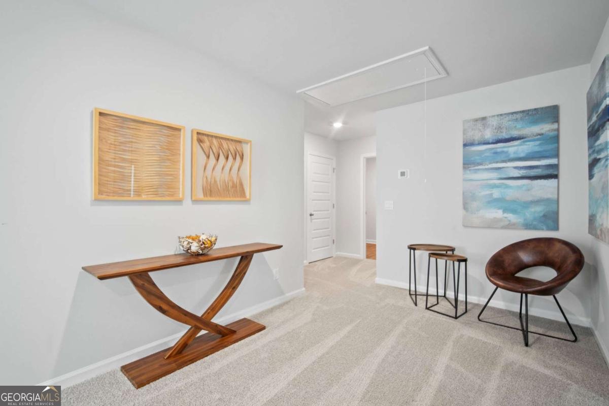111 Red Admiral Lane Savannah - 20