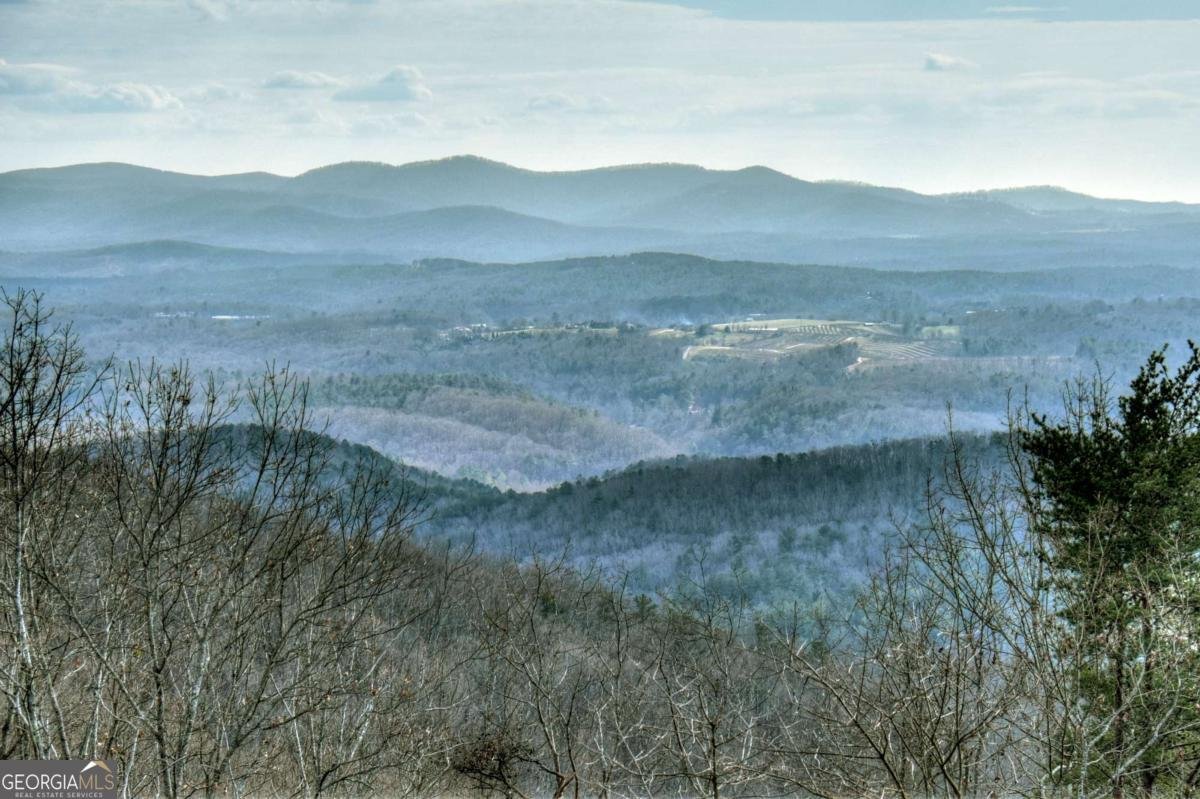 368 Walnut Ridge Ellijay - 3