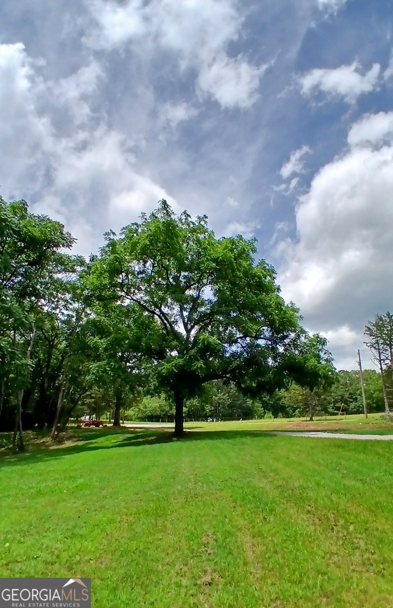 182 Cherry Rose Lane Hartwell - 25
