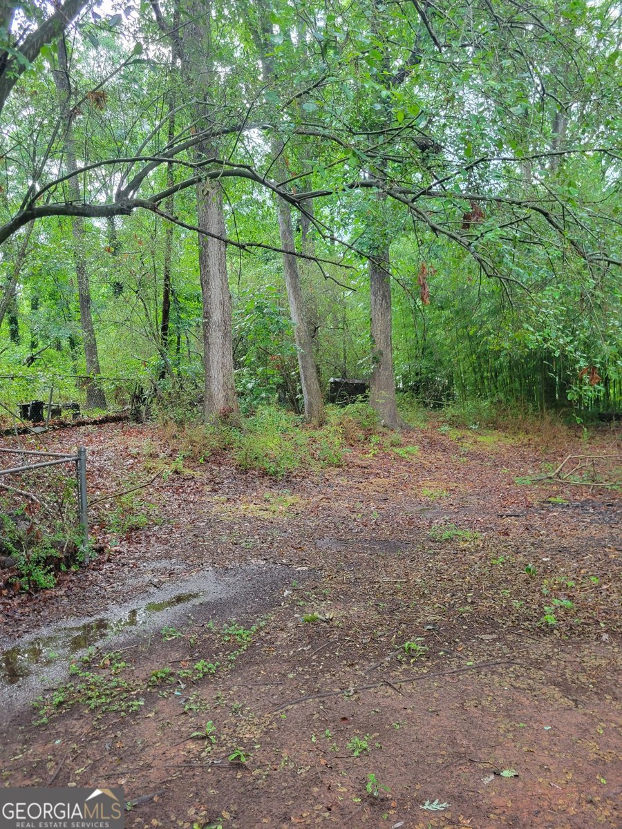 106 Garden Trail Stockbridge - 2